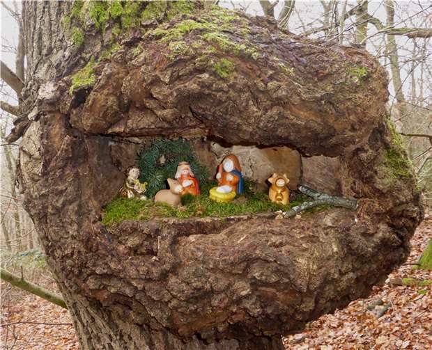 Eine Krippe im Beller Wald. Fotos: privat
