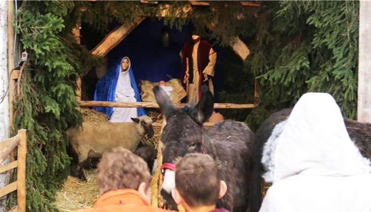 Eine Krippe mit lebensgroßen Figuren sowie Schafe und Esel waren aufgebaut.