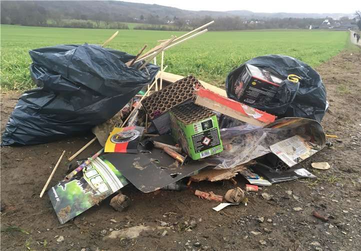 Eine Menge Unrat ist von der Silvesternacht übrig geblieben - und wurde von den Pfadfindern eingesammelt.  privat