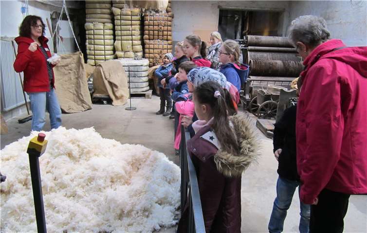 Eine Museumspädagogin erklärte den Kindern die Herstellung der Wolle vom Schaf bis zum Wollfaden.Foto: privat