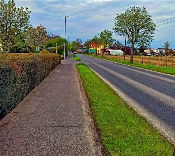 Eine Nachbepflanzung gefällter Bäume auf der linken Seite der L113 von Rheinbach Richtung Ramershoven in Sicht.Quelle: UWG Rheinbach