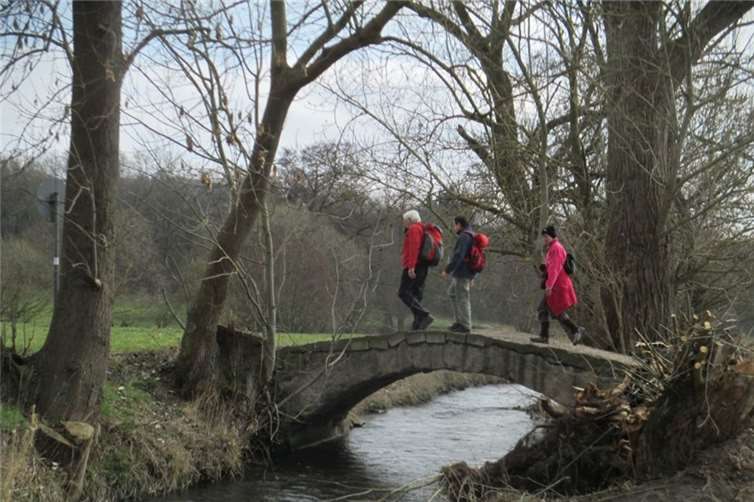 Eine Netteüberquerung bei Miesenheim.