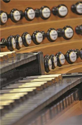 Eine Orgel in ihrer ganzen Pracht. privat