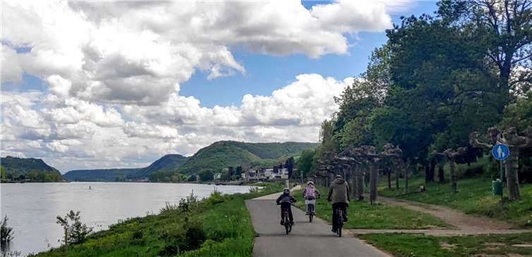 Eine Radlergruppe am Rhein.Foto: privat