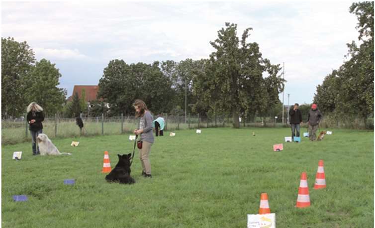 Eine Rally-Obedience-Gruppe beim Training. privat
