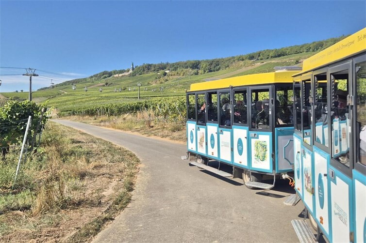 Eine Rundfahrt mit dem „Winzer-Express“ 