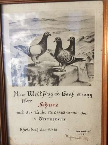 Eine Urkunde von 1952.
