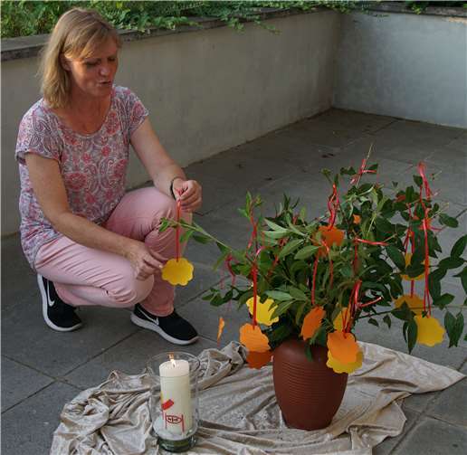 Eine Vase mit frischen grünen Zweigen, die erblühten.privat