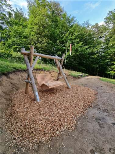 Eine Waldschaukel auf dem Westerwaldsteig am Startplatz der Gleitschirmflieger ist ein weiteres touristisches Angebot in Roßbach. Foto: privat