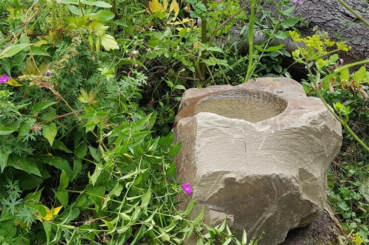 Eine Wasserstelle hilft Insekten, Vögeln und anderen Tieren durch trocken-heisse Sommertage