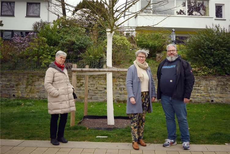 Eine Winterlinde ergänzt nun die historische Baumreihe in den Kaiserin-Augusta-Anlagen. Der Baum ist eine Spende des Frauenmissionswerks zum 130-jährigen Bestehen. Stadtbaummanager Stephan Dally (von rechts) übergab ihn an Präsidentin Margret Dieckmann-Nardmann und Ingrid Höss. Foto: Stadt Koblenz/Verena Groß