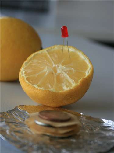 Eine Zitronenbatterie.Quelle: Hochschule Koblenz