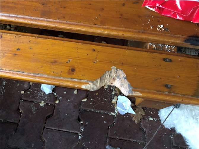 Eine beschädigte Bank.