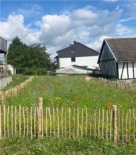 Eine bunte Bienenwiese ist bislang herangewachsen und auf dem Blütenmeer steht diesen zudem ein Insektenhotel zur Verfügung.