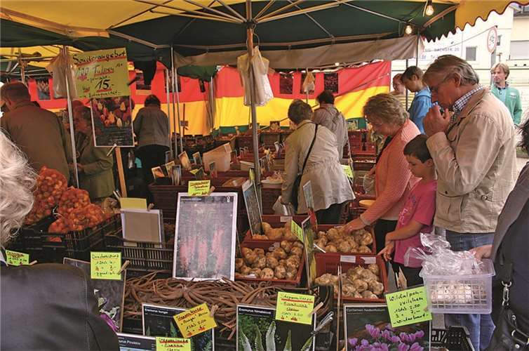 Eine große Auswahl an Blumenzwiebeln machte die Kaufentscheidung nicht leicht.RÜ