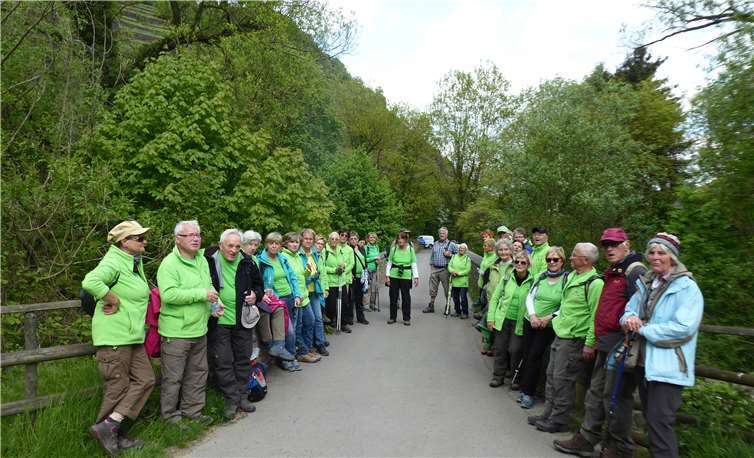 Eine große Wandergruppe wanderte auf den Dernauer Krausberg. privat