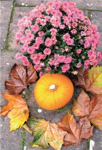 Eine herbstliche Idylle. privat