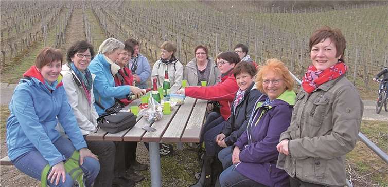 Eine kleine Rast in Mitten der Weinberge mit bester Verpflegung durfte natürlich nicht fehlen. privat