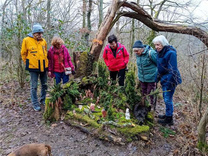 Eine kurze Wanderstrecke mit vielen Haltepunken stand an.  Foto: privat