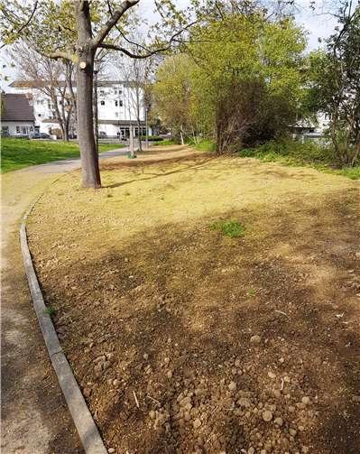 Eine neu angelegte Blühwiese im Freizeitpark.