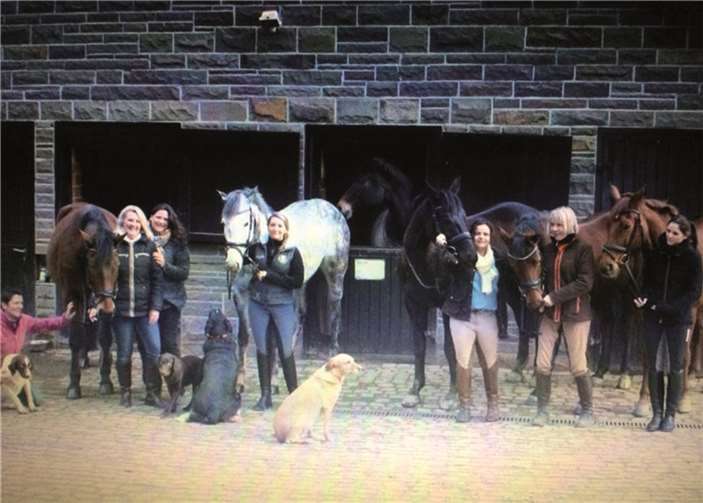 Eine neue Heimat für Pferdeliebhaber ist auf der Reitanlage in Rheineck entstanden. privat