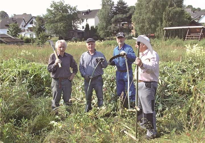 Eine riesige Fläche konnten die Rentner vom Springkraut befreien.  Privat