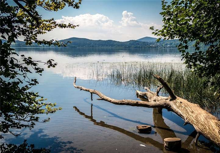 Eine schöne Wanderung erwartet die Teilnehmenden. Foto: privat