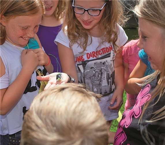 Eine solarbetriebene Heuschrecke, die bei Lichteinstrahlung krabbelt und zirpt, wird von den Kindern auf der Hand gehalten und bestaunt. WT