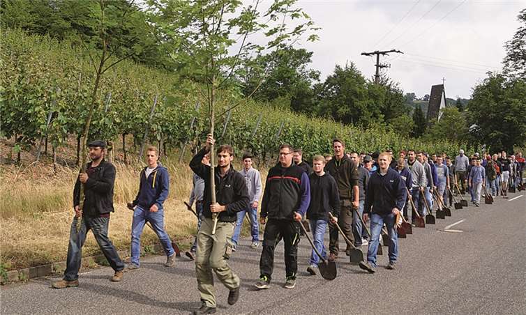Eine stattliche Anzahl von jungen Männern traf sich zum traditionellen „Frienen“ eine Woche vor Treiser Kirmes. Schaufeltragend marschierte man ins Dorf.MT