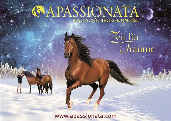 Eine tolle Show wird den Besuchern von Apassionata geboten. privat
