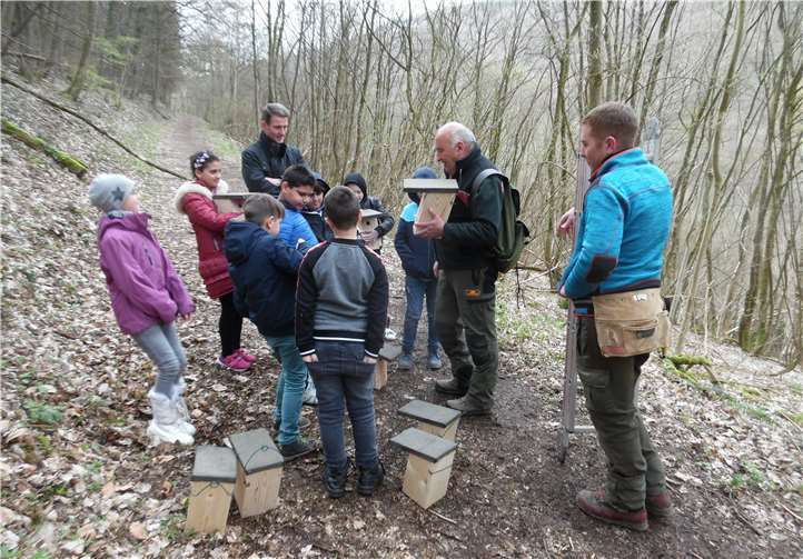 Eine wackere kleine Schar von Grundschülern der Freiherr-vom-Stein-Schule war mit ihrem Schulleiter Dirk Niebergall zu einer Schulstunde im Bad Emser Stadtwald unterwegs. Fotos: Bürgerstiftung Bad Ems