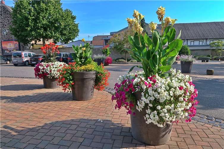 Eine wahre Augenweide. Foto: privat