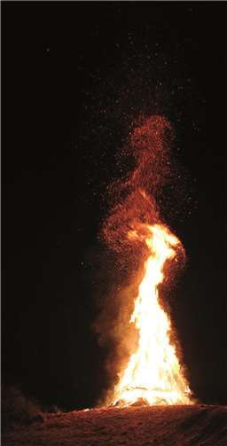 Eine wahre Augenweide war das diesjährige Martinsfeuer in Hohenleimbach, das fast kerzengerade in den nächtlichen Himmel ragte. privat