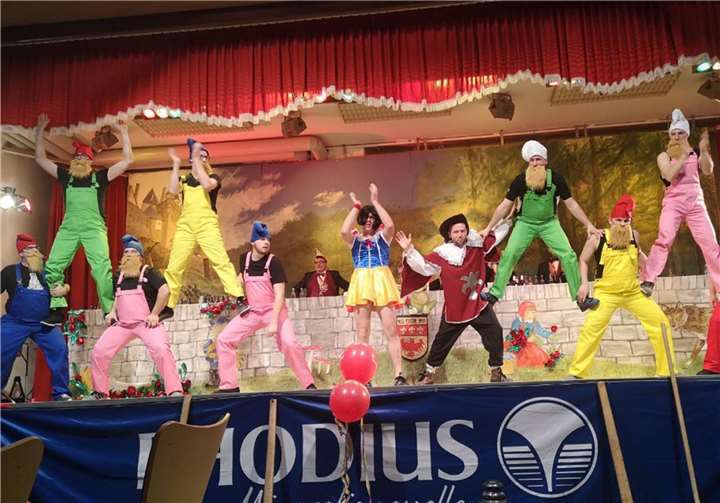 Eine wahre akrobatische Leistung präsentierte das Herrenballett. Fotos: -FRE-