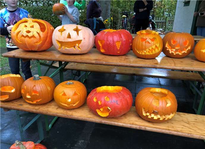 Eine wunderschöne Kollektion.Foto: privat