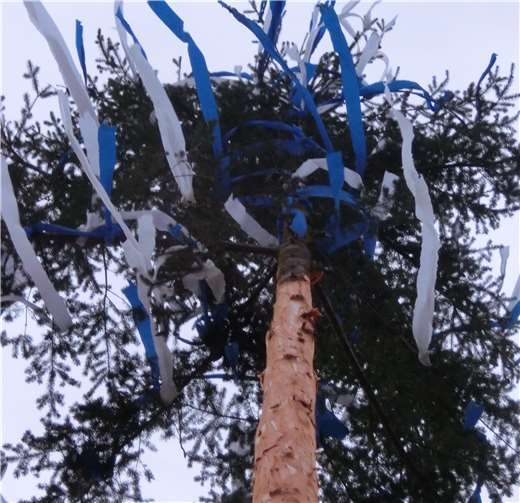 Einen Kirmesbaum, wie er traditionell Jahr für Jahr von der Kirmesbaummannschaft des SV Ochtendung aufgestellt wurde, wird in diesem Jahr nicht errichtet. Genauso wird es keine Kirmesbälle und auch keinen Kirmesplatz mit Fahrgeschäften und Losbuden geben.Foto: privat