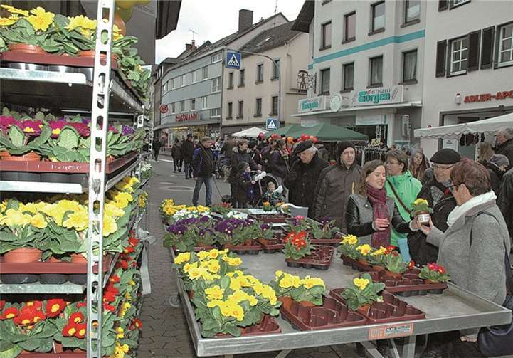 Einen blühenden Frühlingsgruß verteilte der Gewerbeverein Adenau.