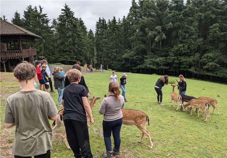 Einen ereignisreichen Tag erlebten die 40 Kinder bei der Bussafari durch den Wild- & Erlebnispark Daun.