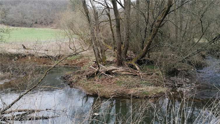 Einen etwa 15 Kilometer langen Abschnitt des Elzbaches nahm die Schaukommission genau unter die Lupe.  Foto: © SGD Nord