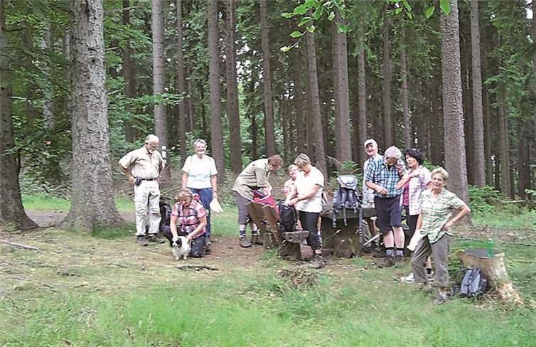 Einen herrlichen Wandertag erlebten die Wanderfreunde der Eifelverein Ortsgruppe Sinzig Ende Juli in der Eifel. privat