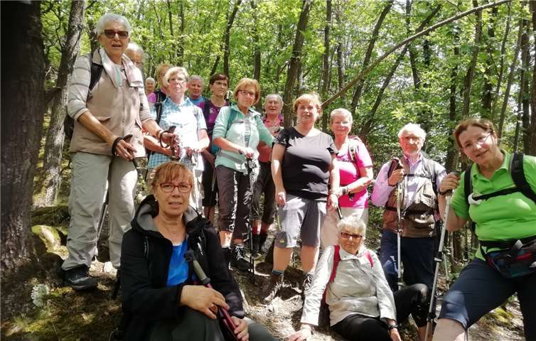 Einen wunderschönen Wandertag mit grandiosen Aussichten erlebten die Teilnehmenden auf dem Traumpfad. Foto: privat