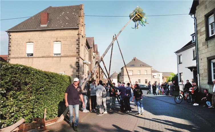 Einer alten Tradition folgend wurde der Maibaum von den starken Männern der Kirmesgesellschaft Obermendig bei herrlichem Wetter mit Hilfe sogenannter Schwalben aufgestellt.
