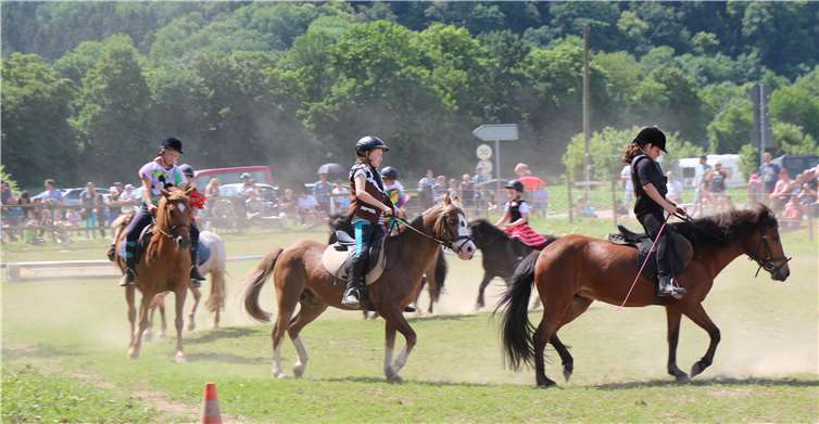 Einer der Höhepunkte des Tages: das Showprogramm mit Reitaufführungen. Fotos: KMI