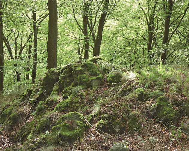 Einer der Touristenmagnete rund um Adenau: die unberührte Natur .privat