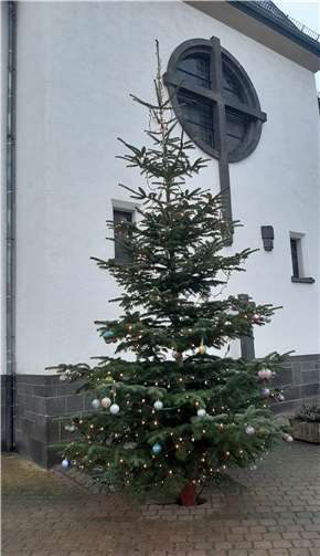 Einer der Weihnachtsbäume in Nauheim.