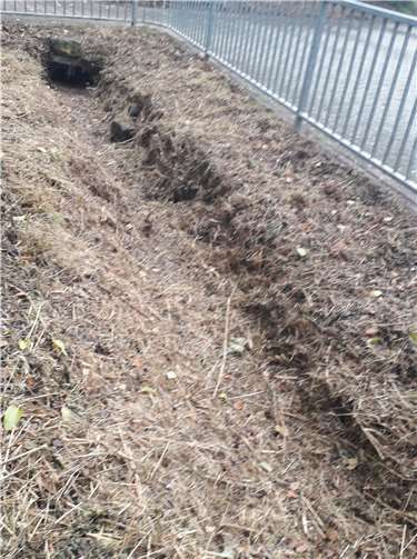 Einer der beiden Bäche, die seit Jahrhunderten durch Rübenach fließen und einst acht Mühlen antrieben, ist inzwischen trocken gefallen und der andere führt auch nicht mehr viel Wasser.Foto: privat