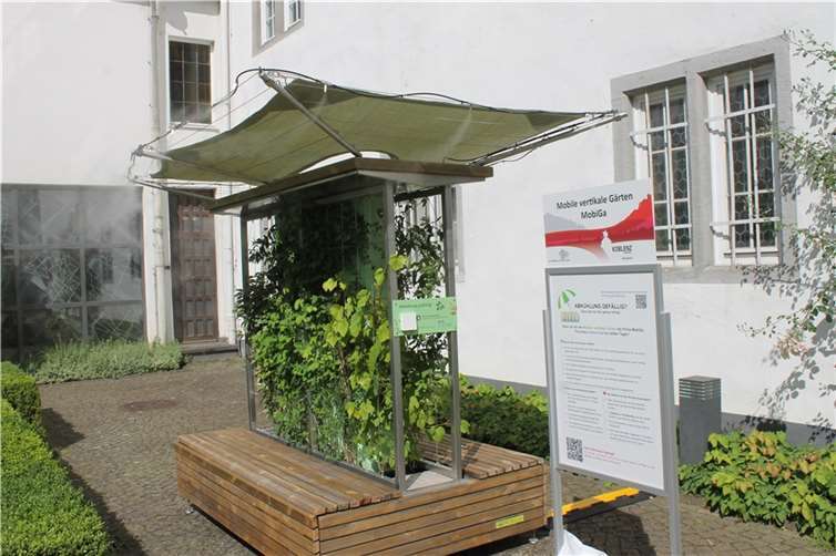 Einer von zwei Mobilen Vertikalen Gärten im Innenhof des Rathaus-Gebäudes II. Foto: Stadt Koblenz / Thomas Knaak