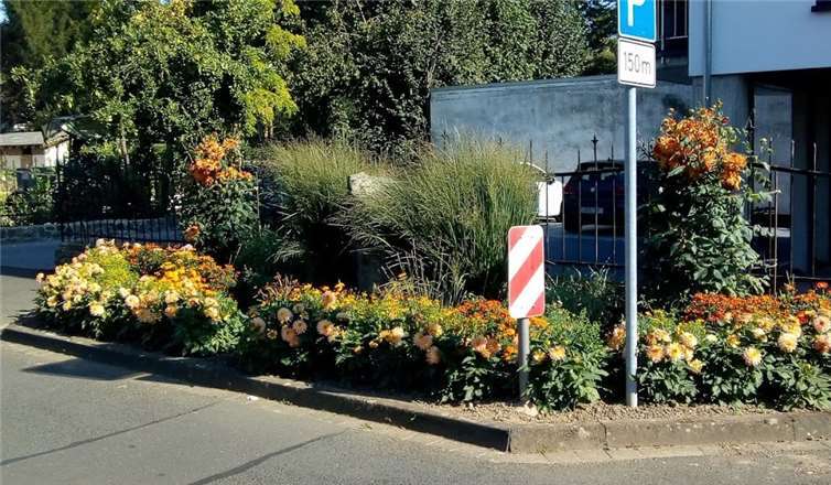 Eines der Beete.Quelle: Beetfreunde Erpel