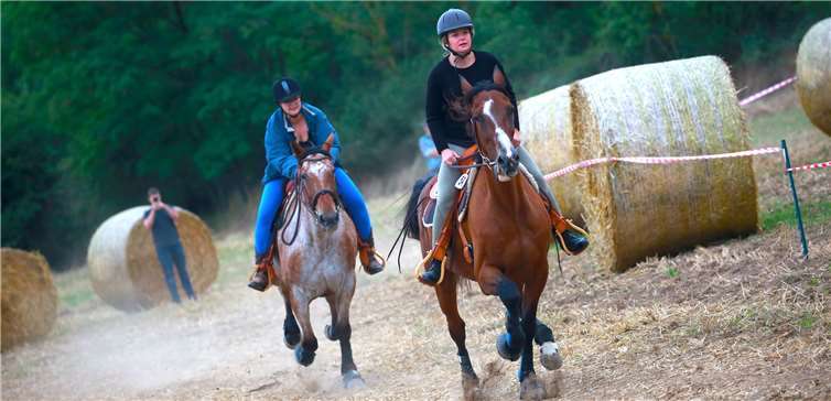 Eines der Highlights für die Zuschauer: Das große Galopprennen am Sonntagmittag. Fotos: www.myfoto24.eu