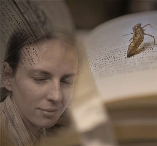 Eines der beeindruckenden Fotos vom Ellen R. Dornhaus. Gemeinde Wachtberg